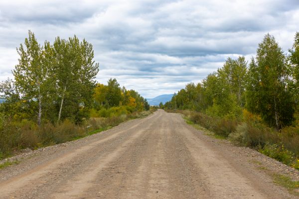 Dirt Road Repair in Port Orchard
