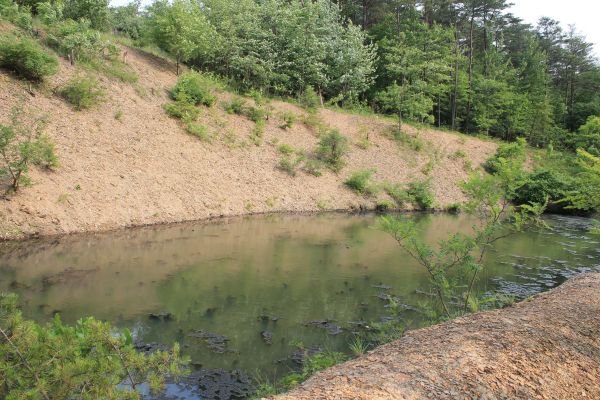 Cost of Pond Erosion Repair in Port Orchard