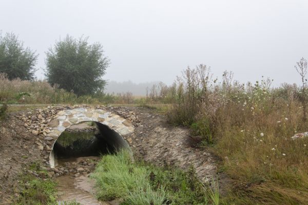 Culvert Excavation in Port Orchard