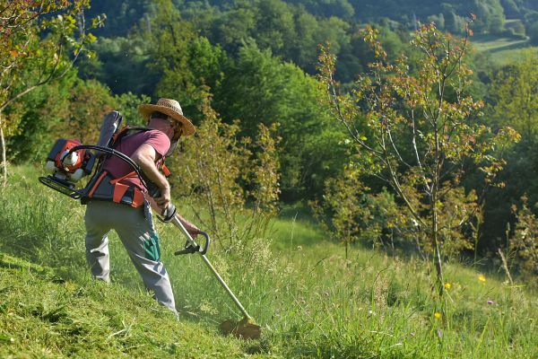 Cost of Slope Trimming in Port Orchard